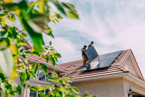 Best Roof Gutter Cleaning  in Eagle Lake, MN