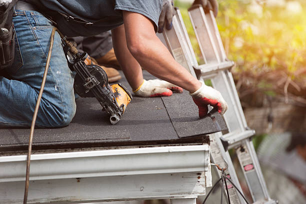 Professional Roofing Contractor in Eagle Lake, MN